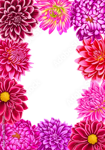 floral frame with drawing pink dahlia and aster flowers at white background  template for cover design  hand drawn botanical illustration