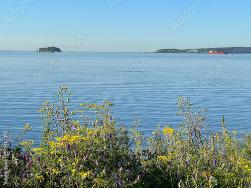 Patroclus  Patrokl  Bay in Vladivostok in summer morning