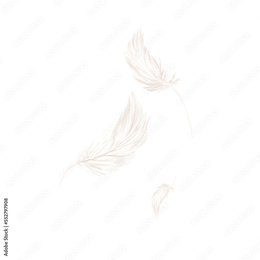 feather3 feather3