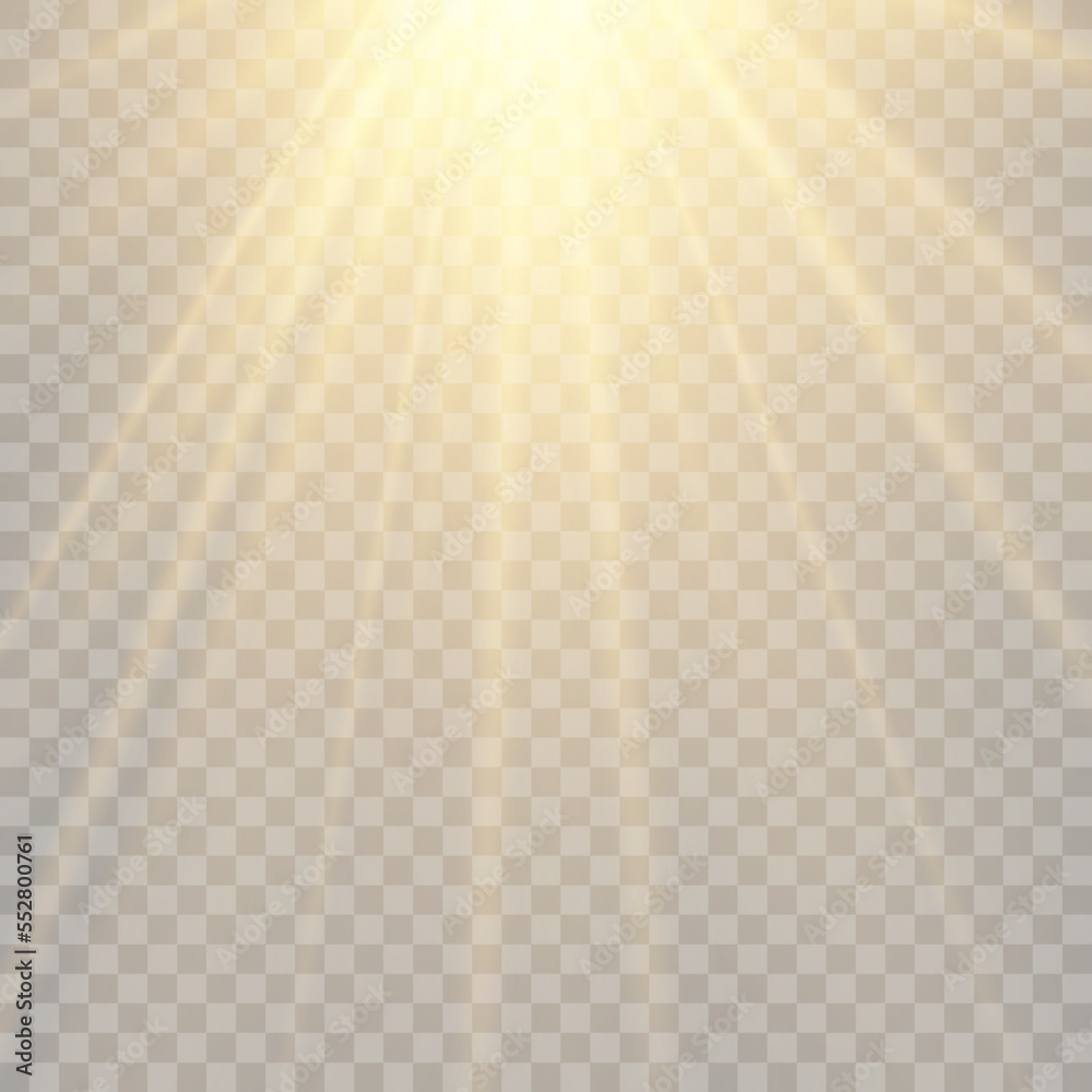 Fototapeta premium Vector transparent sunlight special lens flare light effect. Bright beautiful star. Light from the rays. 