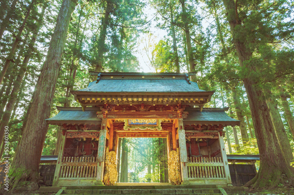 Naklejka premium 新潟 雲洞庵の赤門