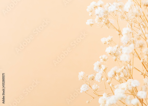 Beautiful flower background of pastel gypsophila flowers. Flat lay, top view.