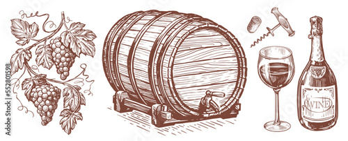 Wine set. Viticulture concept. Collection of hand drawn sketches for restaurant menu. Vintage vector illustration
