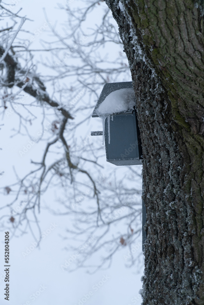 Naklejka premium The birdcage is covered with snow and ice in the winter