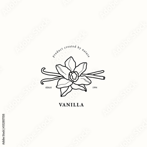 Line art vanilla flower illustration