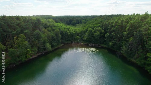 Reflection of trees in the lake - Lake in Poland