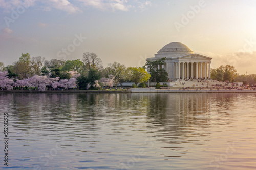 Jefferson Memorial at sunset spring during cherry blossoms in Washington DC with clear sky