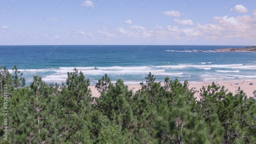 Aerial view, drone flying above amazing pine trees with view of the beach Aerial view, drone flying above amazing pine trees with view of the beach