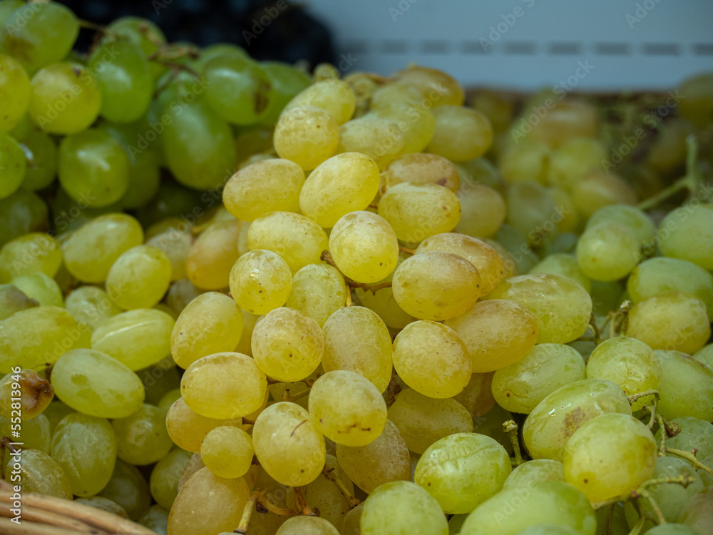 grapes on a shelf in the market grapes on a shelf in the market