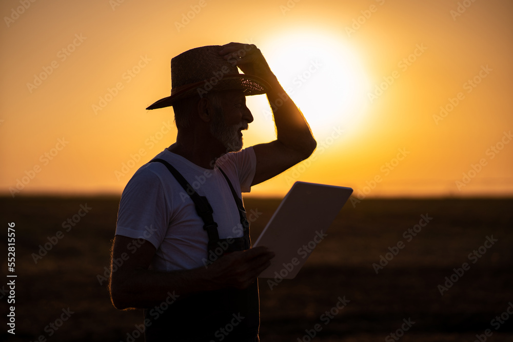 Silhouette of senior caucasian farmer with digital tablet in hands.