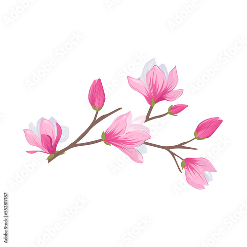 Magnolia branch with pink flower and leaves illustration composition with flowers