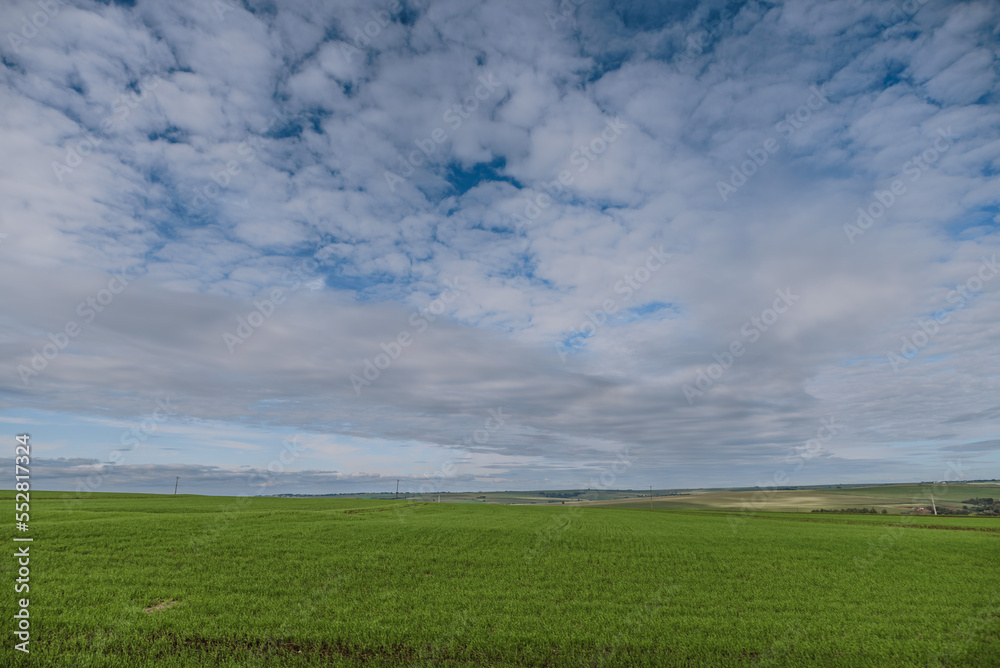 drone view of a field and clouded sky drone view of a field and clouded sky