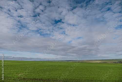 drone view of a field and clouded sky