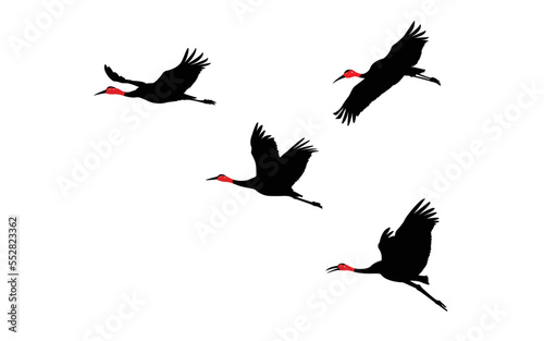 Flock of cranes or storks black silhouette in flight vector flat illustration on white background.