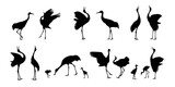 Collection of silhouettes of crane birds. Crane birds isolated vector illustration. Egret, heron design element.  wildlife style.