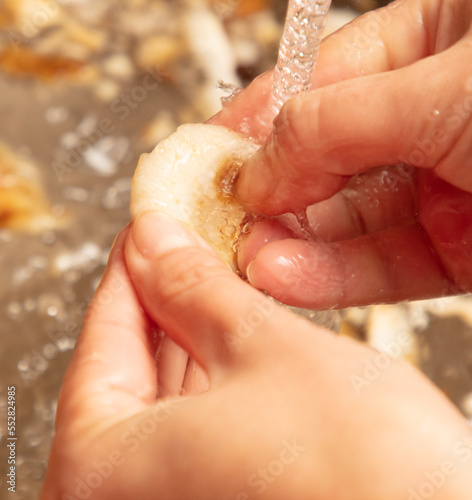 Washing mushrooms with water. Close-up