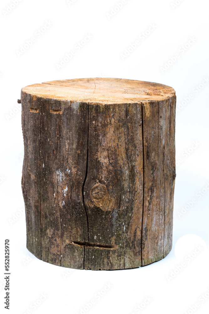log stump isolated on a white background log stump isolated on a white background