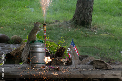 Fourth of July fireworks by backyard squirrels