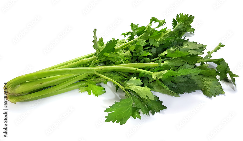 Celery. Fresh green stems with leaves with natural shadow on a white background Celery. Fresh green stems with leaves with natural shadow on a white background