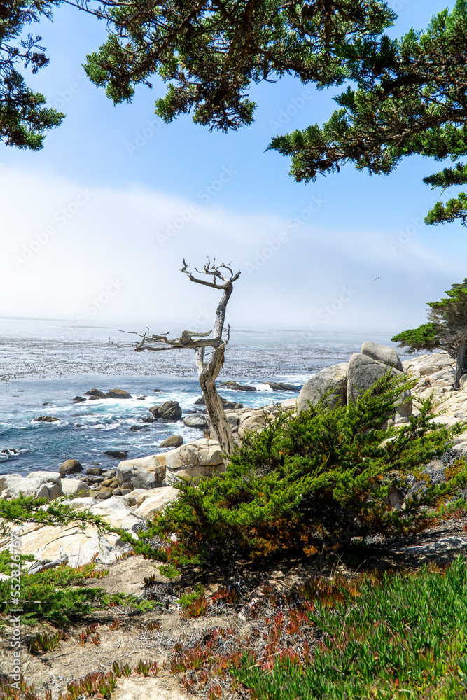 17 Mile Drive Pacific Coast Highway, California USA 17 Mile Drive Pacific Coast Highway, California USA