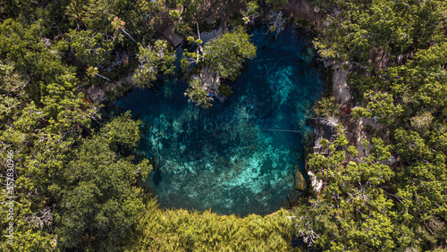 Cenote paradise’s heart in the middle of the nature in Tulum, Mexico. Romantic concept in the middle of the nature. Clear water so you can see the depth. Empty cenote , no a single person on it.