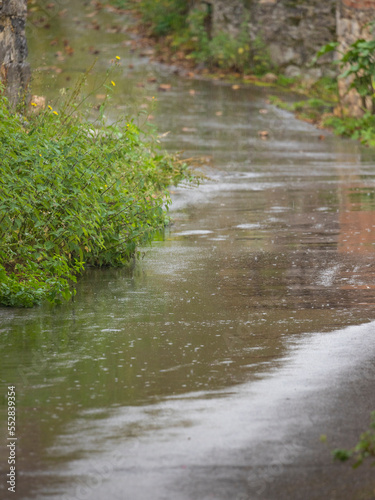 Rainy day. Rain falling on the street and the grass of a town in a rural area.