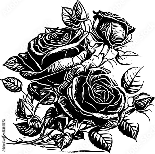 Hand drawn bouquet of roses. Vector flowers illustration.