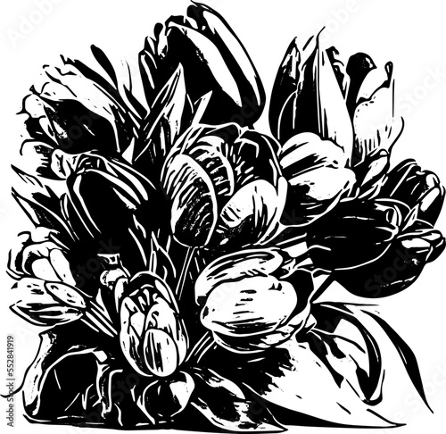 Tulip bouquet, hand drawn illustration. 