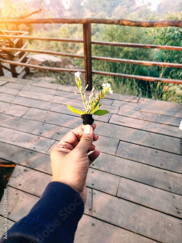 person holding a bunch of flowers