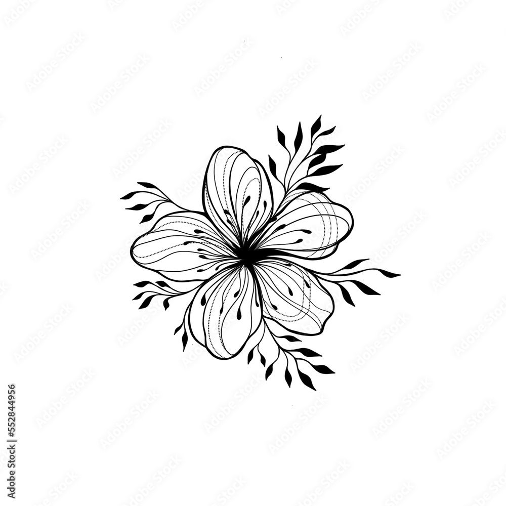 Almond blossom flower isolated on white. Vintage botanical hand drawn illustration. Spring flowers of apple or cherry tree.