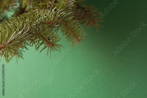 Christmas tree branch on a green background. Christmas background for a card. Small depth of field