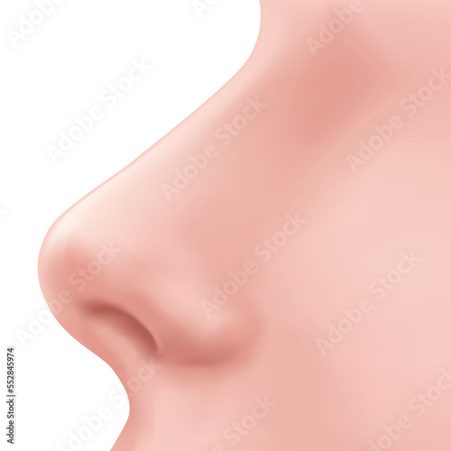 Profile view Human Nose on the face realistic Illustration for medicine, Isolated on white background Design Vector. Rhinoplasty example. Body part for biology.
