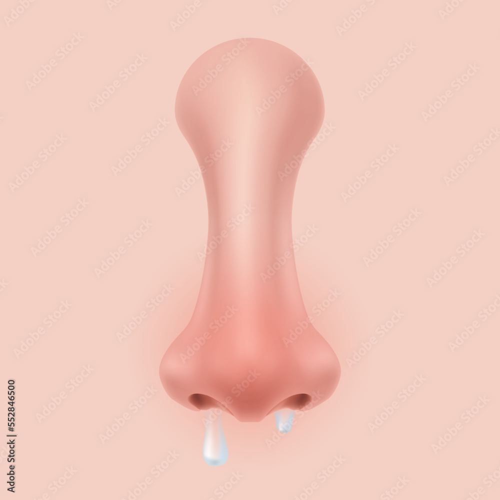 Front view Human Nose on the face realistic Illustration for medicine, Isolated on background Design Vector. Body part for biology. symptoms of allergy and cold congestion, sneezing, runny nose. Front view Human Nose on the face realistic Illustration for medicine, Isolated on background Design Vector. Body part for biology. symptoms of allergy and cold congestion, sneezing, runny nose.