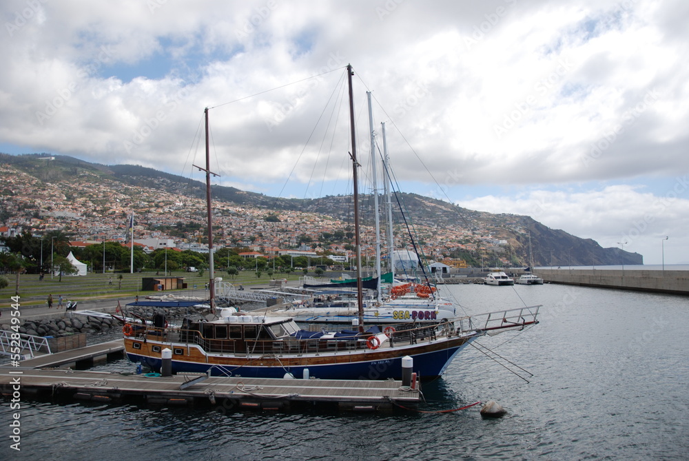 Fototapeta premium Madera