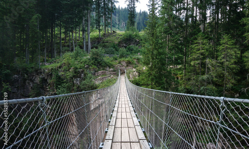 Passerella nella foresta