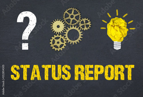 Status Report