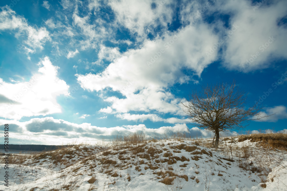 silhouette of lonely tree on the hill in Poland, Europe on sunny day in winter, amazing clouds in blue sky silhouette of lonely tree on the hill in Poland, Europe on sunny day in winter, amazing clouds in blue sky