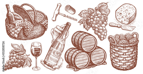 Viticulture concept vintage illustration. Wine collection. Set of hand drawn sketches for restaurant menu
