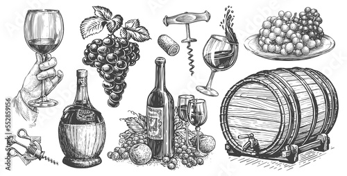 Wine concept. Viticulture set. Collection of hand drawn sketches for restaurant menu. Vintage illustration