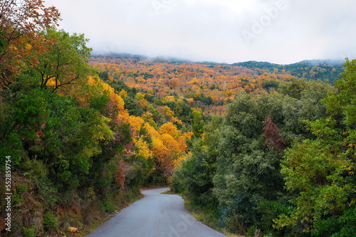 Greece, Mount Pelion, Natura 2000 area, wonderful autumn landscape, with autumn colors