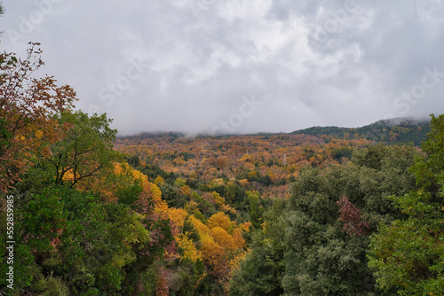Greece  Mount Pelion  Natura 2000 area  wonderful autumn landscape  with autumn colors