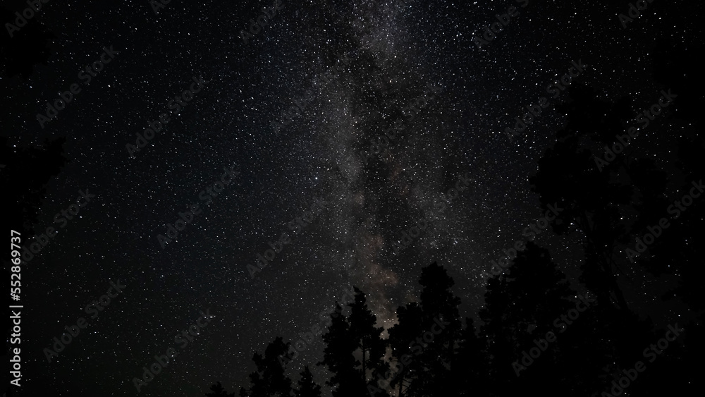 The Milky Way galaxy above the silhouettes of trees The Milky Way galaxy above the silhouettes of trees