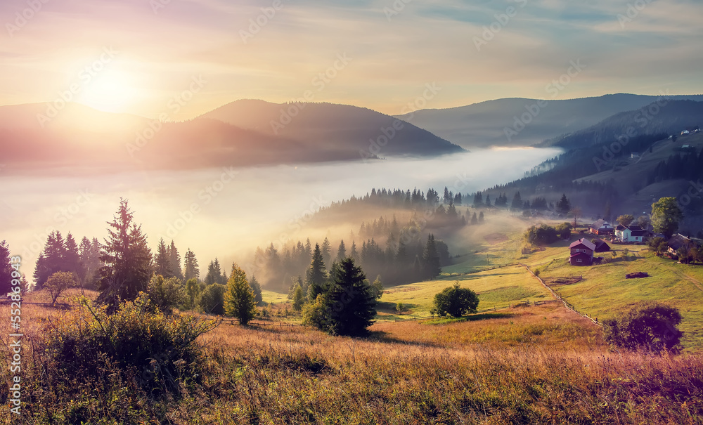 Stunning vivid scene in the mountains. highland meadow under morning light. Amazing countryside landscape with valley in fog behind the forest on the grassy hill. Carpathian mountains. Ukraine.