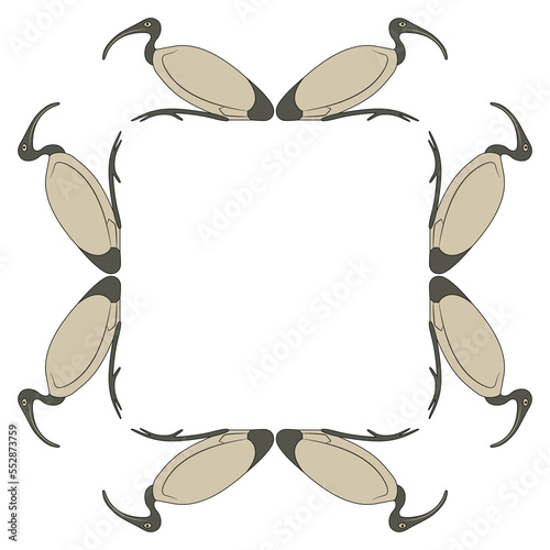 Square animal frame with perched ibises. Ancient Egyptian sacred bird of god Thoth. Isolated vector illustration.