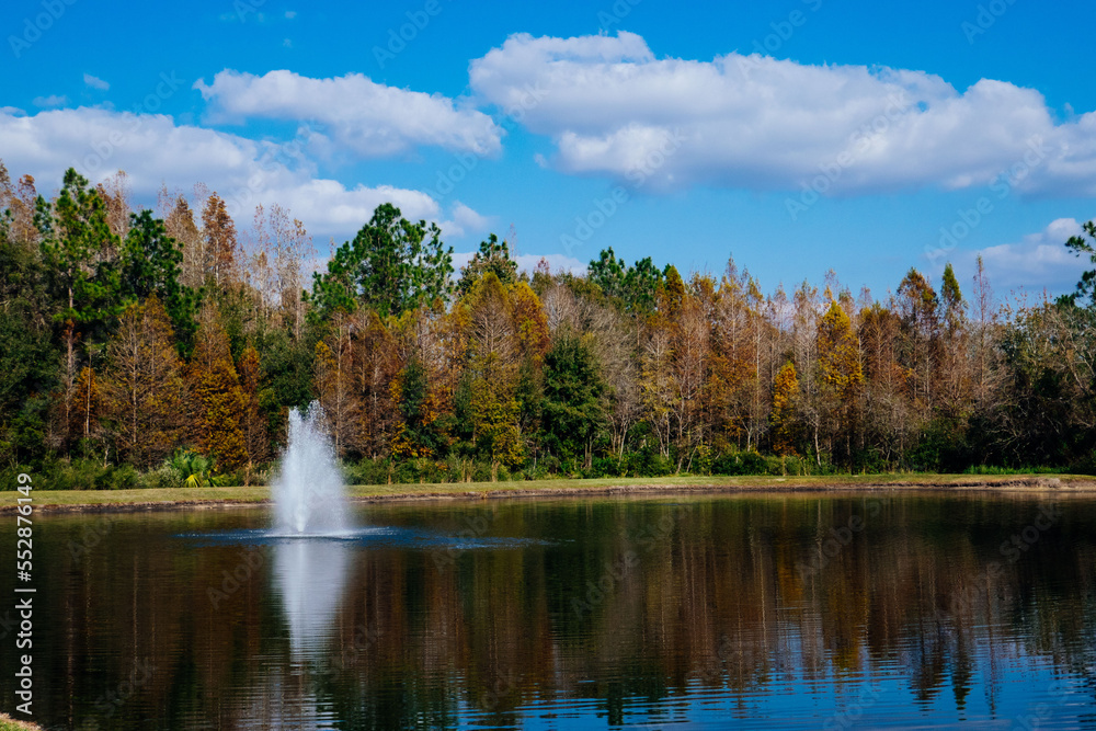 Fototapeta premium Colorful winter tropical tree leaf and pond