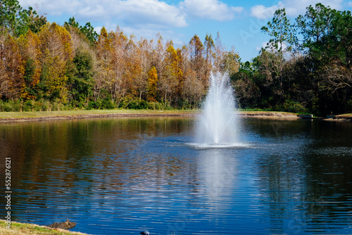 Colorful winter tropical tree leaf and pond 