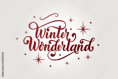 Winter wonderland handwritten text with stars and snowflakes. Hand lettering typography. Modern brush ink calligraphy. Vector illustration as greeting card, banner, poster, logo. Season's greeting