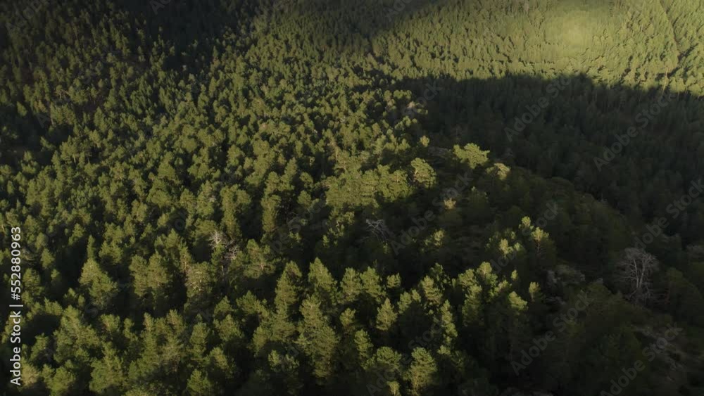 Aerial shot revealing mountains in Sierra de Gredos, Guadarrama (a mountain range of the Sistema Central between Madrid and Segovia, Spain). Drone reveals a beautiful valley of pine trees.