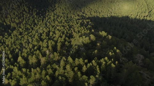 Aerial shot revealing mountains in Sierra de Gredos, Guadarrama (a mountain range of the Sistema Central between Madrid and Segovia, Spain). Drone reveals a beautiful valley of pine trees.