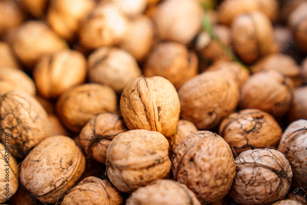 boxes of walnuts. harvesting nuts on the farm. boxes of walnuts. harvesting nuts on the farm.